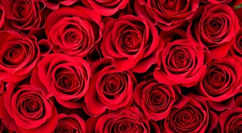 SydneyBrianna @sydneybrianna3 cover picture