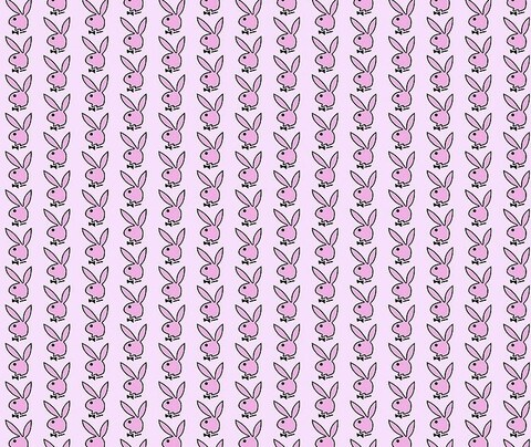 🦋 @t0talbloodbath cover picture