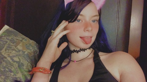 Quinnzel b!tch @tabbykat69420 cover picture