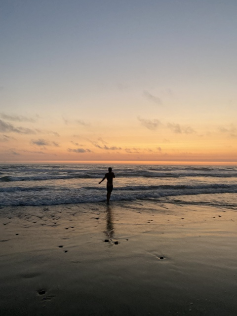 Tallwoof @tallwoof cover picture