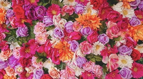 Tash.may @tash.mayxo cover picture