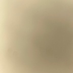 Onlyfans leak tashathrasher01 

 profile picture
