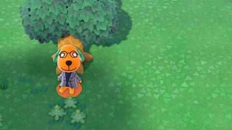 Teddy Bear @teddybearkisses13 cover picture