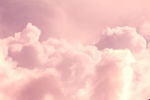 Tee @teephoebe cover picture