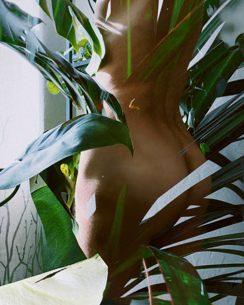 The Bare Botanist @thebarebotanist cover picture