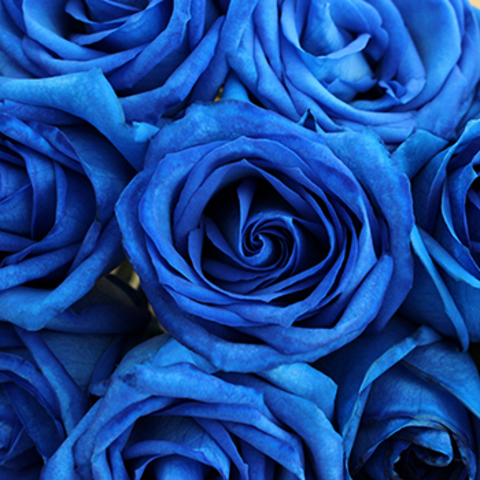 The Dark Knight Stikk @thedarkknightstikk cover picture