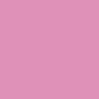 thepinkprincess (P) free OnlyFans content 

 profile picture
