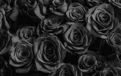 ThotfulMami @thotfulmami cover picture