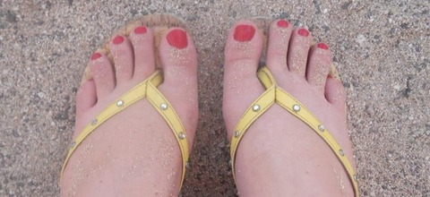 Toes, etc. @toesetc cover picture