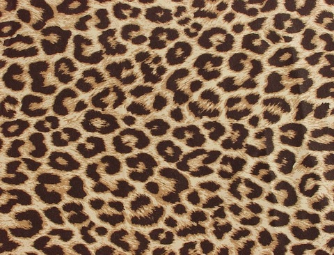 Torialynnxo @torialynnxoxo cover picture