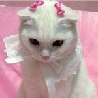 Onlyfans leak trash_bby 

 profile picture