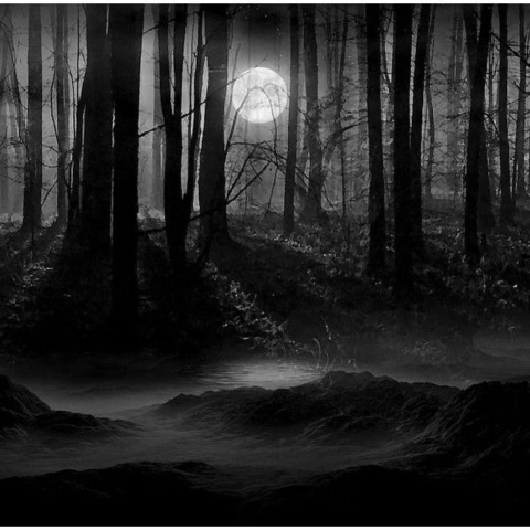 TristanO @trismegistus21 cover picture