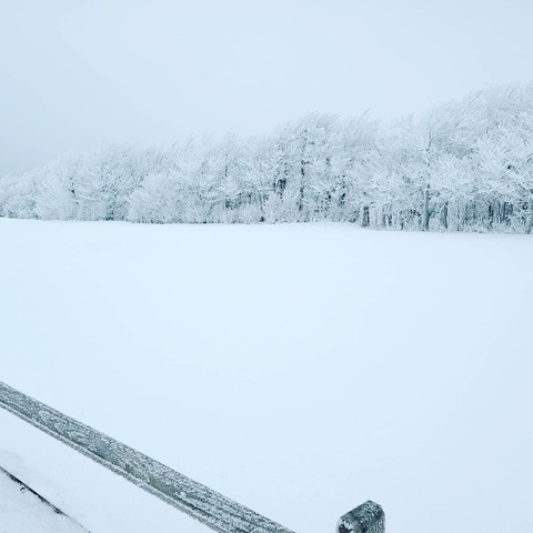 C @u17655522 cover picture
