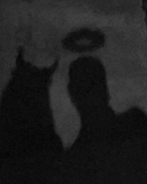 seanwolf1123 @u188481095 cover picture