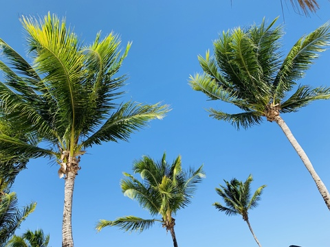 Header of u20359886