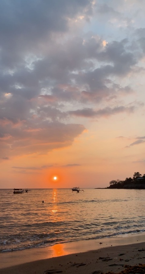 Jasmine @u222490859 cover picture