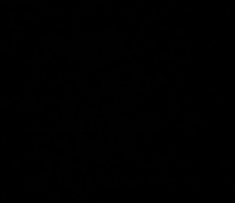 Header of u22596410