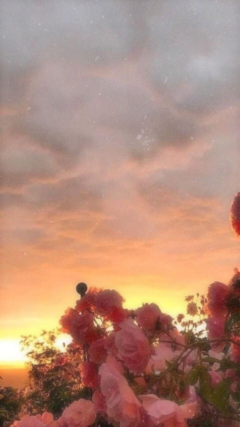 Tatum @u252781873 cover picture
