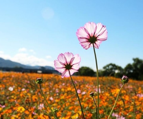 u253213130 @u253213130 cover picture