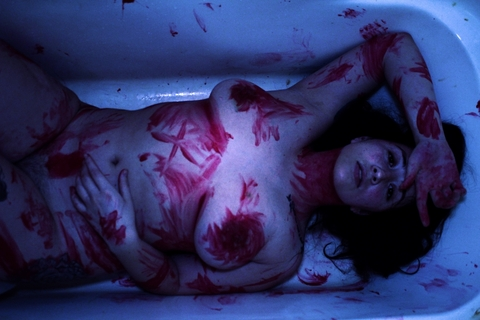 Kitten @vampirekittee cover picture