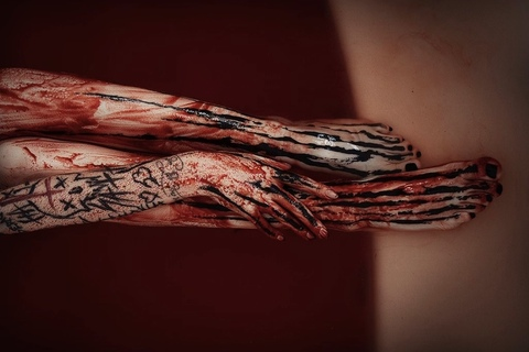 vanillabloodart @vanillabloodart cover picture