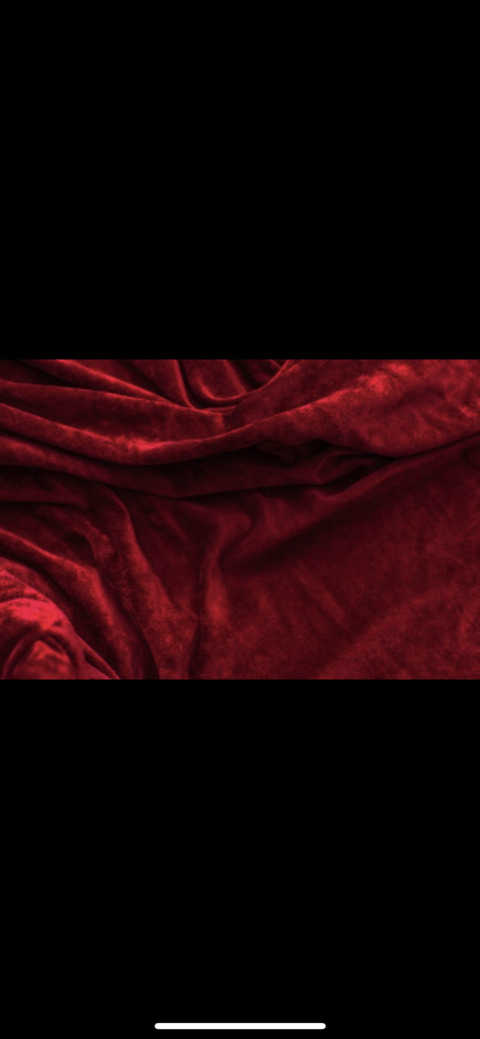VelvetAss @velvetass cover picture