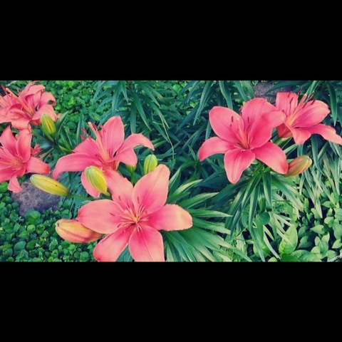 V E Y A @veyavilla cover picture
