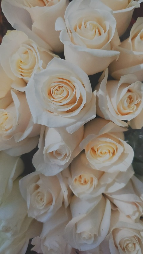 Vilhelmsen Emma @vilhelmsenemma cover picture