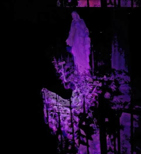 Violet Graveyard @violet-graveyard cover picture