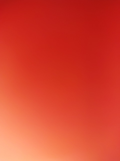 Virgi @virgiponzi cover picture