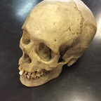 Onlyfans leaked vitelism 

 profile picture