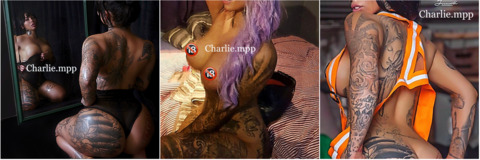 💥VP.ARLO 🥵🔞 @vp.arlo cover picture