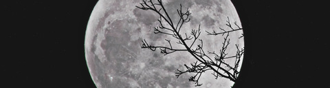 wayabitx @wayabitx cover picture
