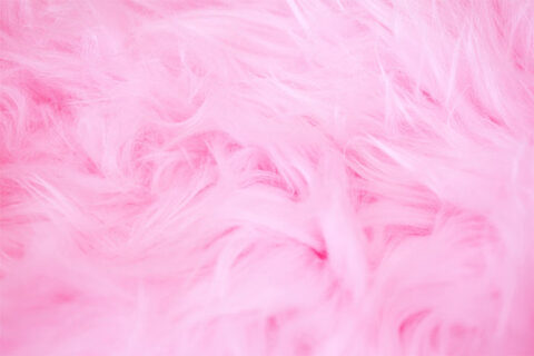 Louise @weelouise123 cover picture