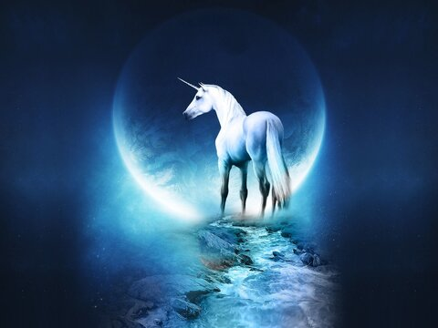 WheresAlice @wheresalice11 cover picture