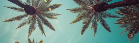 Wiley @wileycoyotexo cover picture