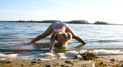 Wilverina @wilverina cover picture
