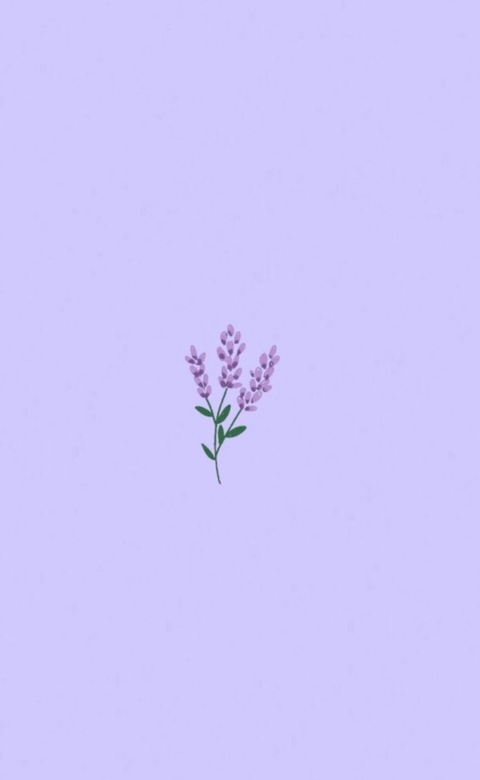 Kai🧚‍♀️ @worshipkai cover picture