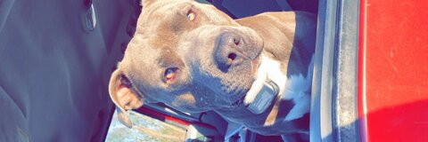 Wyatt @wyattm.98 cover picture