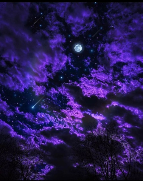 Rose @xmissrosee cover picture