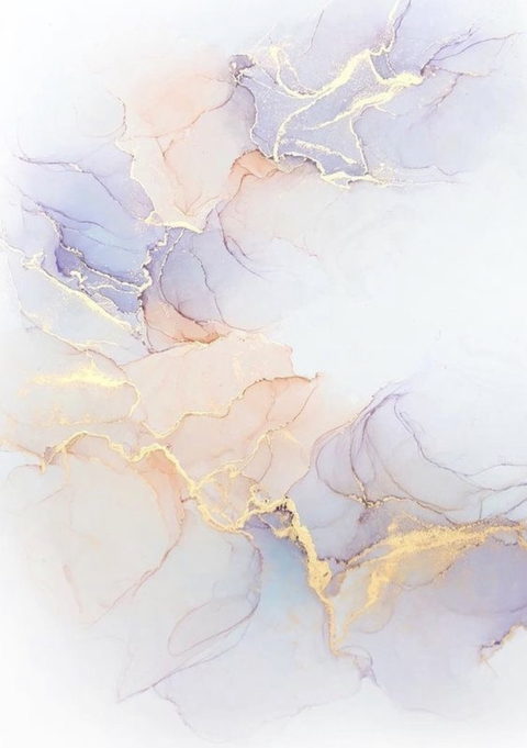 xocbxo 🦋 @xocbxo cover picture