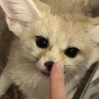 Leaked xowolffe onlyfans leaked