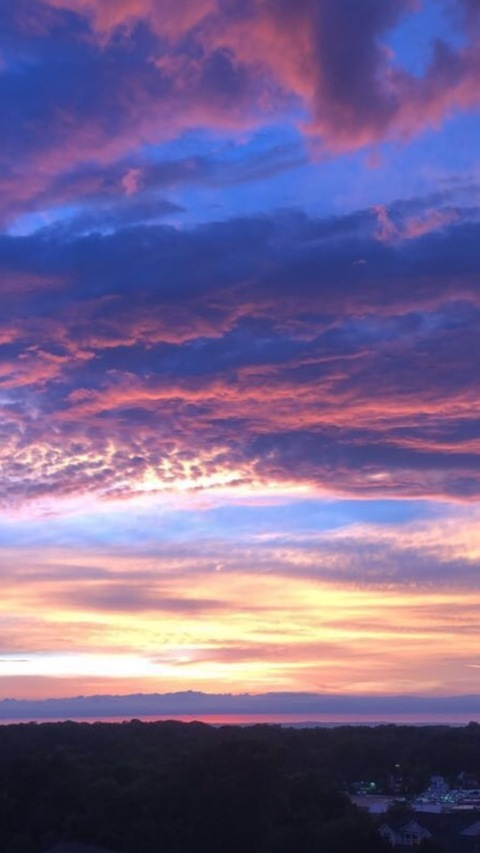 Euphoric @xoxo_euphoric cover picture