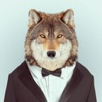 Kyle (@xsnowie) Leak OnlyFans 

 profile picture