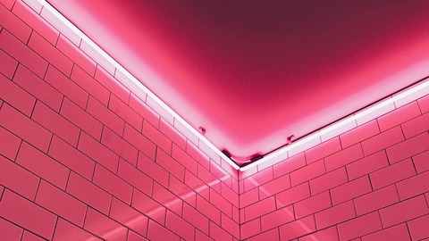 xsophie @xsophievip cover picture