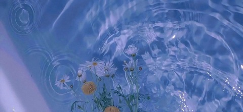 princess @xxxprincess24 cover picture