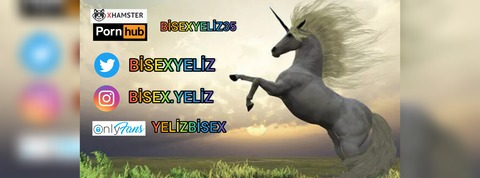 🦄Bisex Yeliz🦄 @yelizbisex cover picture