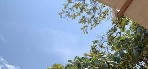 Andre @youngboybigd cover picture