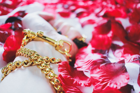 Zoe @zoecatfu cover picture